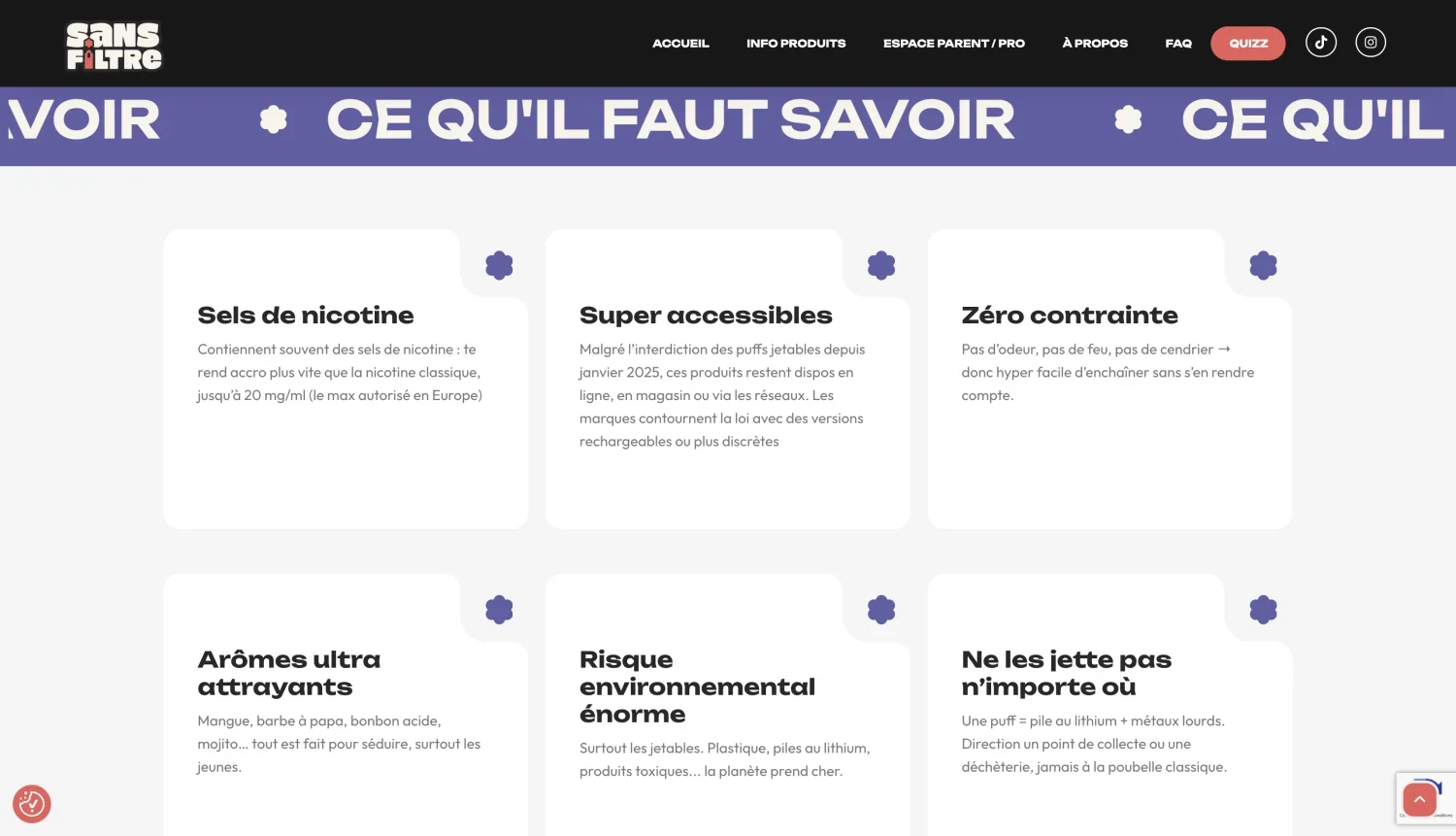 sans filtre creation site internet bruxelles